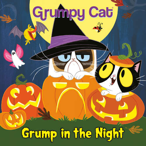 Book cover of Grump in the Night (Pictureback(R))