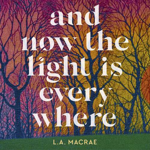 Book cover of And Now the Light is Everywhere: A stunning debut novel of family secrets and redemption