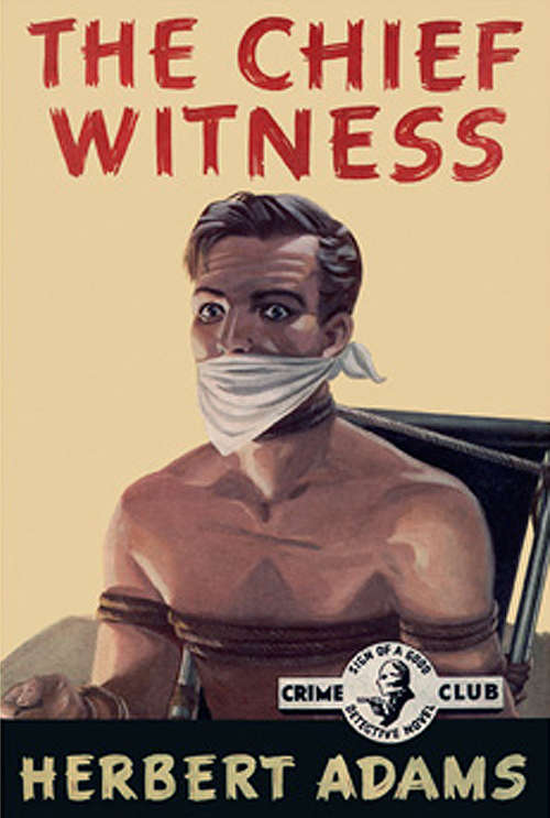 Book cover of The Chief Witness: A Roger Bennion Mystery