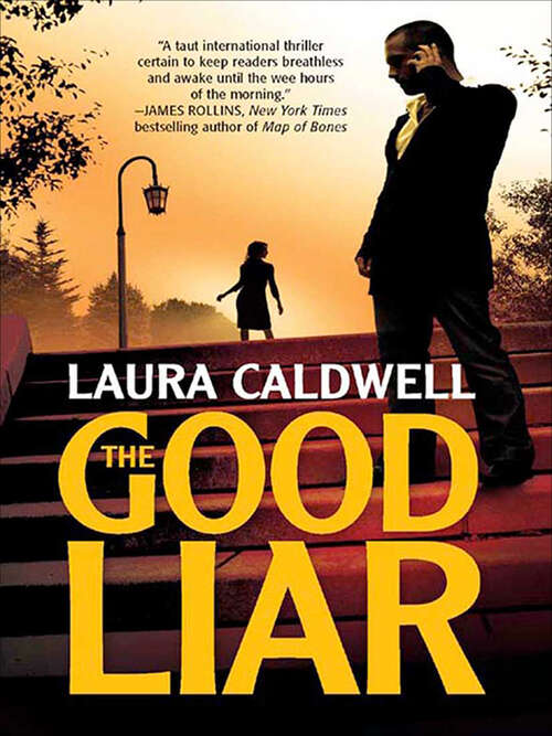 Book cover of The Good Liar