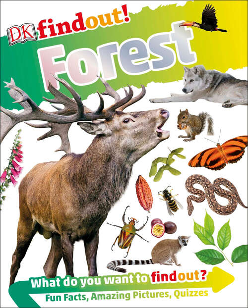 Book cover of DKfindout! Forest (DK findout!)