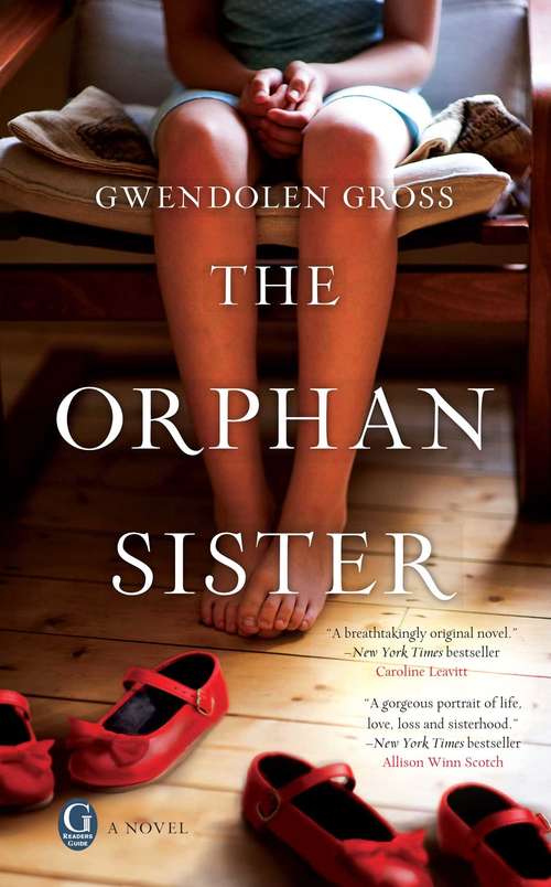 Book cover of The Orphan Sister
