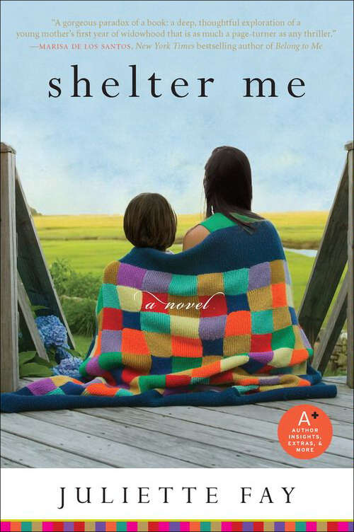 Book cover of Shelter Me