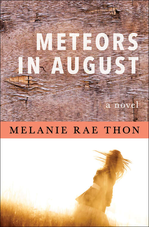 Book cover of Meteors in August