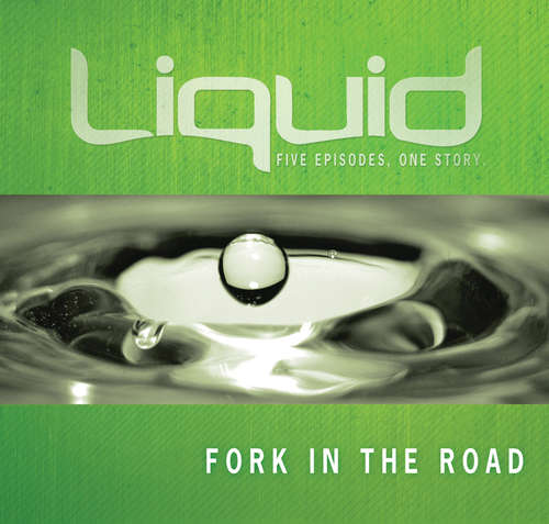 Fork in the Road Participant's Guide: Five Episodes, One Story) (Liquid)