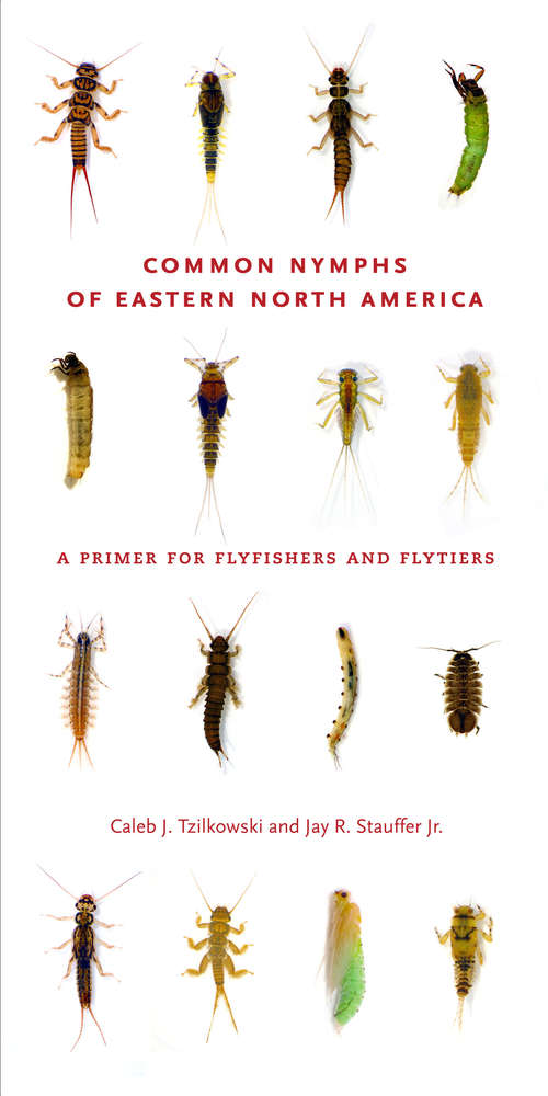 Common Nymphs of Eastern North America: A Primer for Flyfishers and Flytiers (Keystone Books)