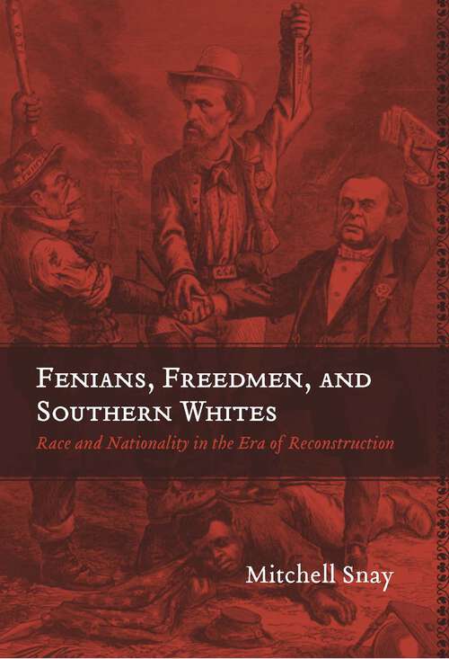 Book cover of Fenians, Freedmen, and Southern Whites
