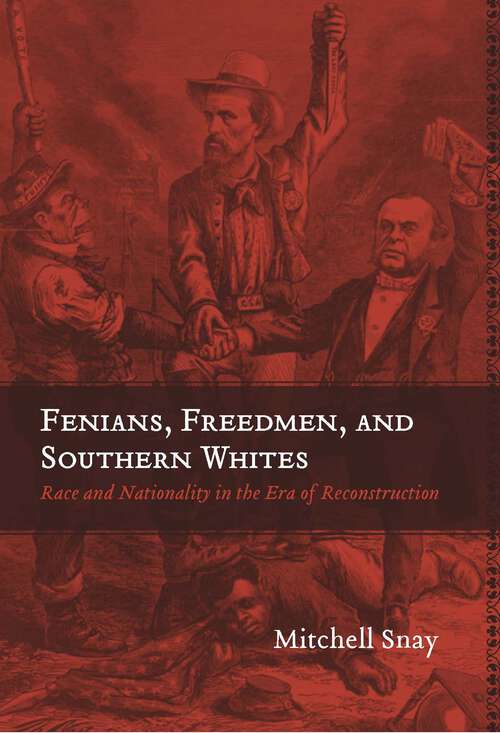 Book cover of Fenians, Freedmen, and Southern Whites: Race and Nationality in the Era of Reconstruction (Conflicting Worlds: New Dimensions of the American Civil War)