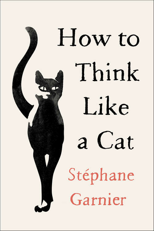 Book cover of How to Think Like a Cat