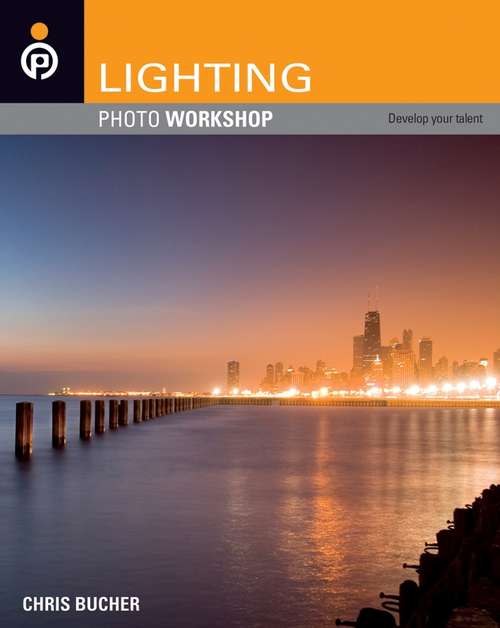 Book cover of Lighting Photo Workshop