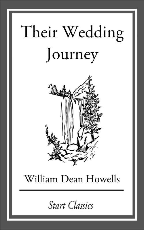 Book cover of Their Wedding Journey