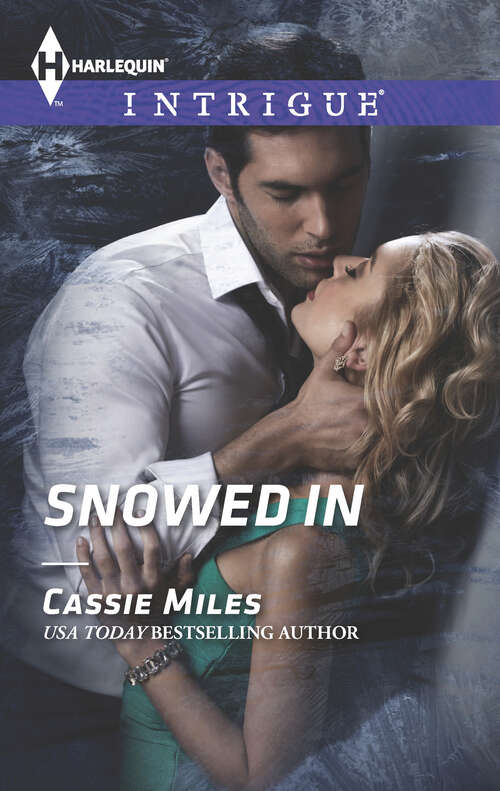 Book cover of Snowed In