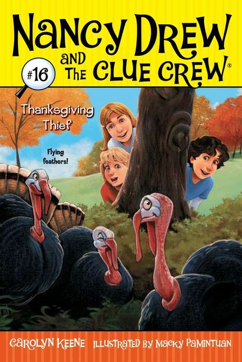 Book cover of Thanksgiving Thief (Nancy Drew and the Clue Crew  #16)