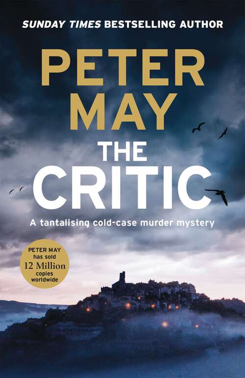 Book cover of The Critic: A tantalising cold-case murder mystery (The Enzo Files Book 2) (The Enzo Files #2)