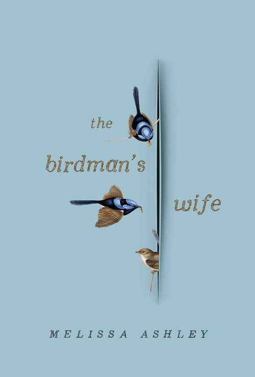 Book cover of Birdman's Wife