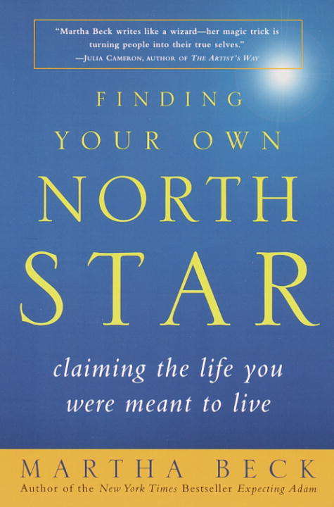 Book cover of Finding Your Own North Star