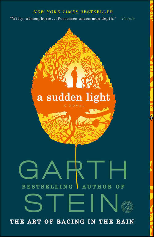Book cover of A Sudden Light
