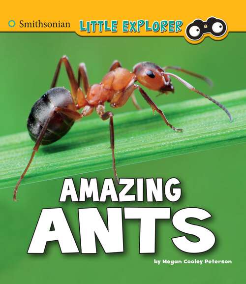 Book cover of Amazing Ants: A 4d Book (Little Entomologist 4d Ser.)