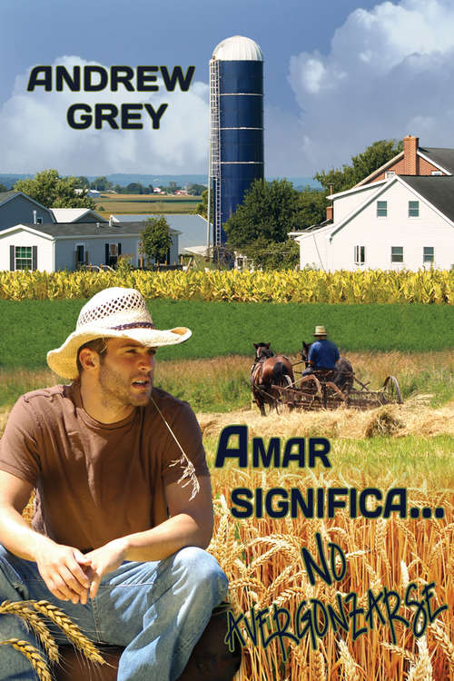 Book cover of Amar significa… No avergonzarse