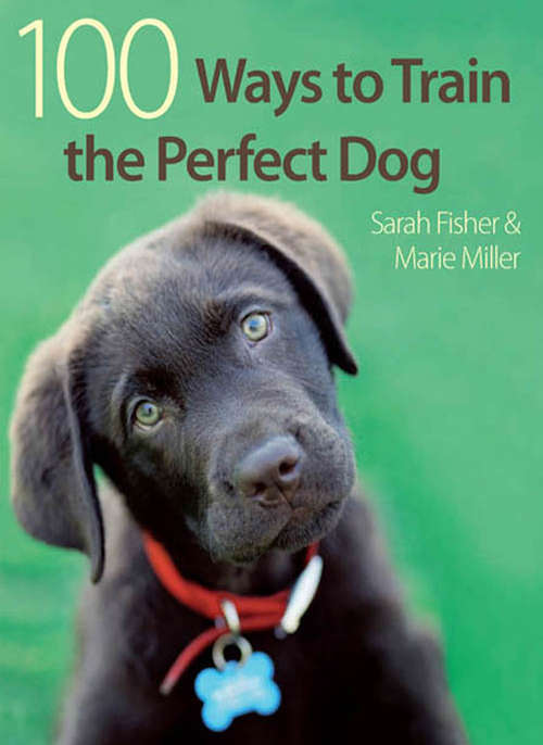 Book cover of 100 Ways to Train the Perfect Dog