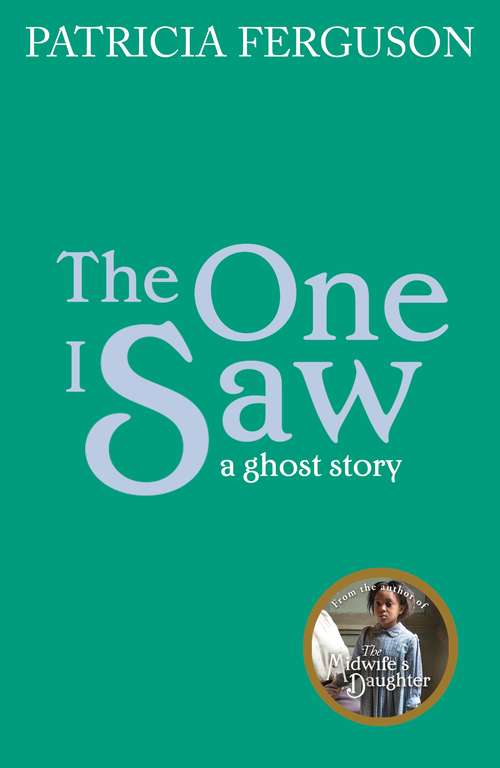 Book cover of The One I Saw