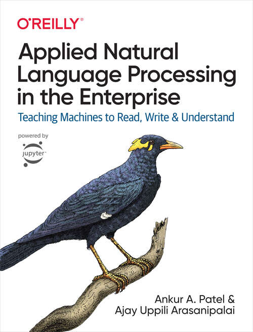 Book cover of Applied Natural Language Processing in the Enterprise