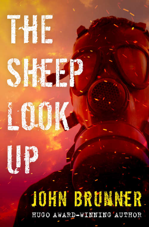 Book cover of The Sheep Look Up