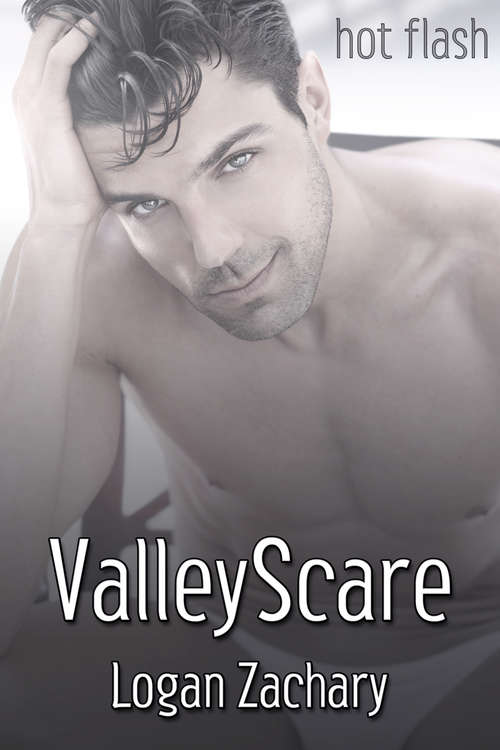 Book cover of ValleyScare