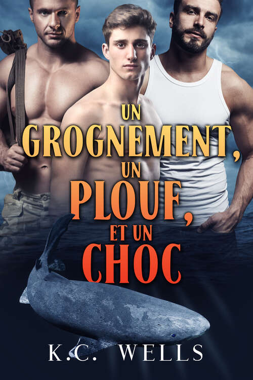 Book cover of Un grognement, un plouf et un choc (Lions, Tigres et Ours)