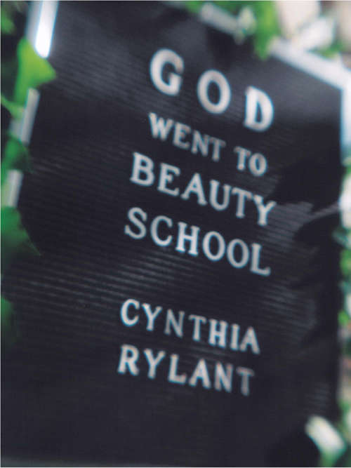 Book cover of God Went to Beauty School