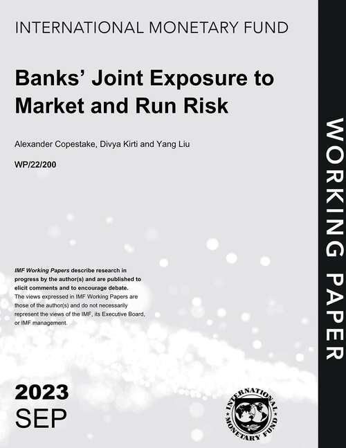 Book cover of Banks’ Joint Exposure to Market and Run Risk (Imf Working Papers)