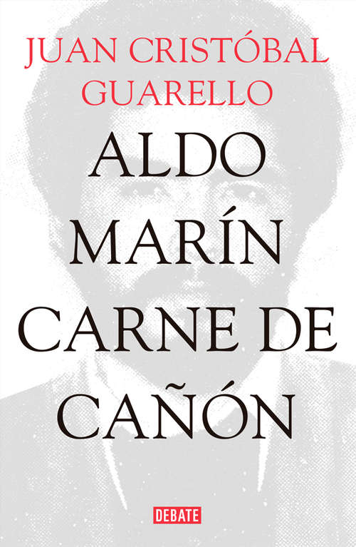 Book cover of Aldo Marín: Carne de cañon