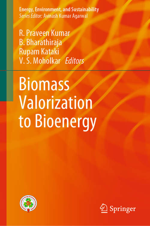 Biomass Valorization to Bioenergy (Energy, Environment, and Sustainability)