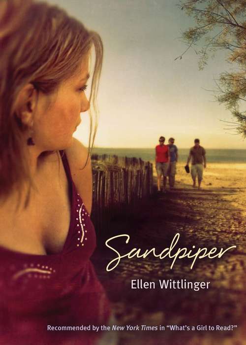 Book cover of Sandpiper