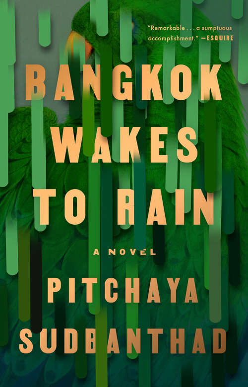 Book cover of Bangkok Wakes to Rain: A Novel
