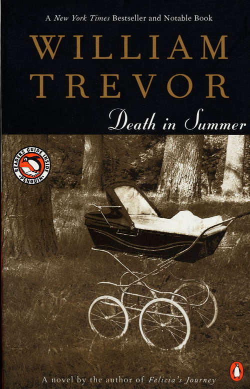 Book cover of Death in Summer