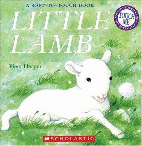 Book cover of Little Lamb