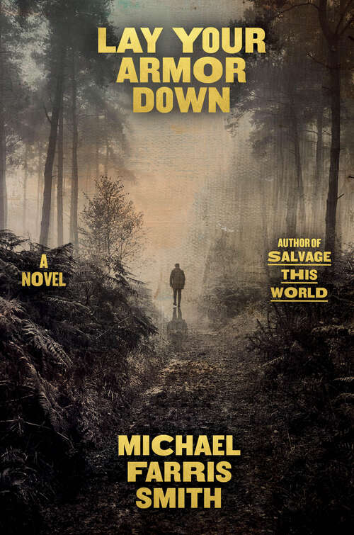 Book cover of Lay Your Armor Down: A Novel