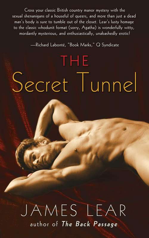 Book cover of The Secret Tunnel