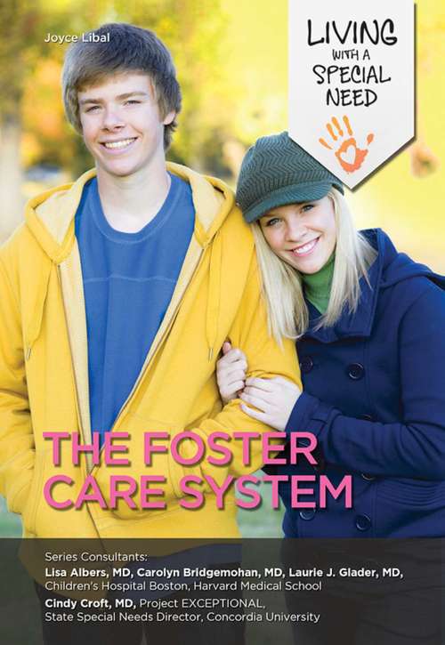 Book cover of The Foster Care System