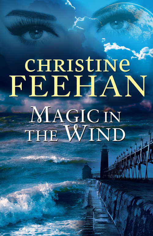 Book cover of Magic in the Wind