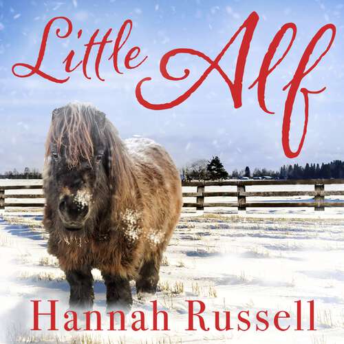 Book cover of Little Alf: The true story of a pint-sized pony who found his forever home