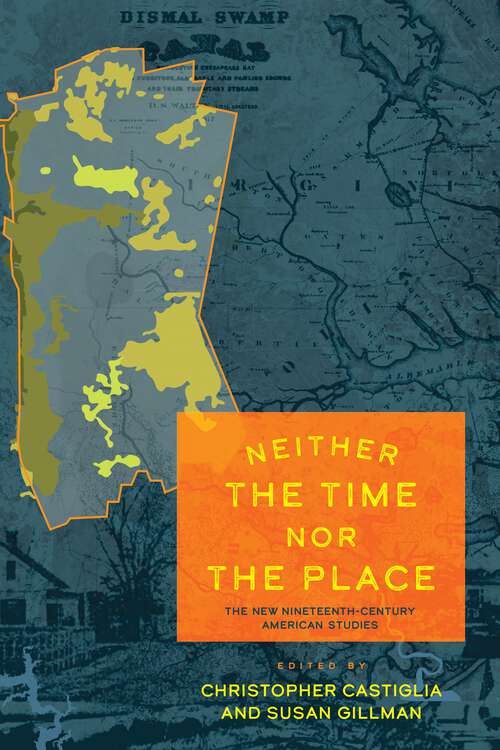 Book cover of Neither the Time nor the Place: The New Nineteenth-Century American Studies