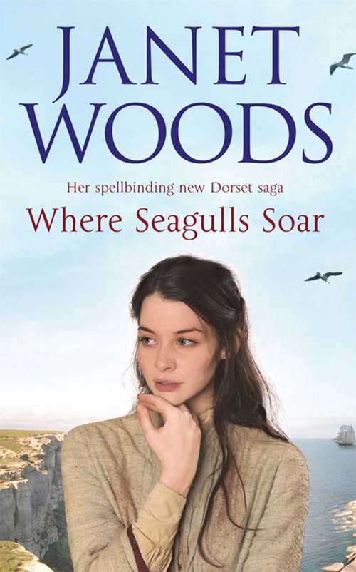Book cover of Where Seagulls Soar