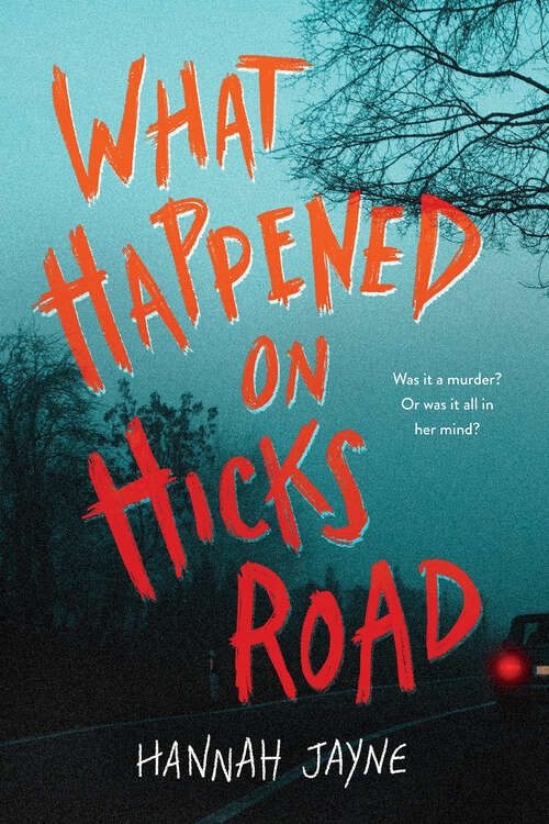 Book cover of What Happened on Hicks Road