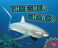 Thresher Sharks: A 4d Book (All About Sharks Ser.)