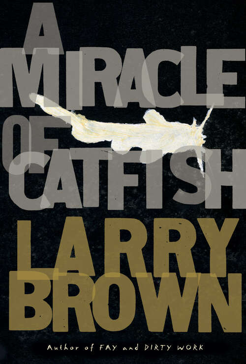 Book cover of A Miracle of Catfish: A Novel In Progress