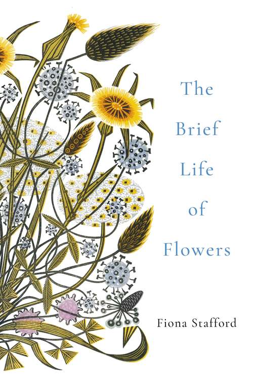 Book cover of The Brief Life of Flowers