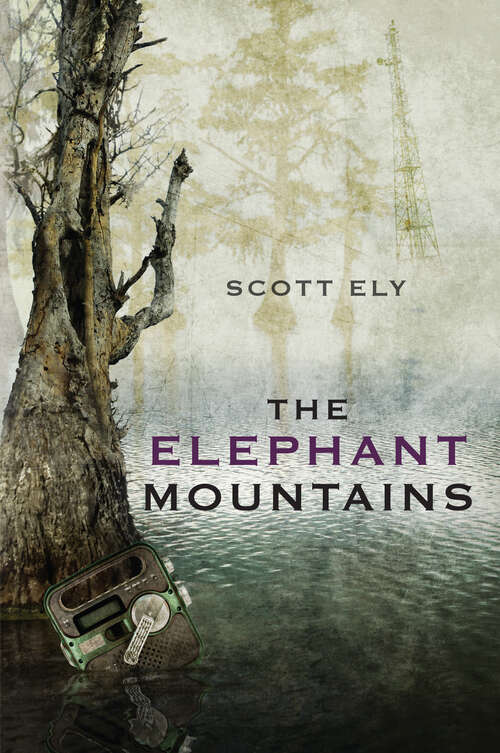 Book cover of The Elephant Mountains