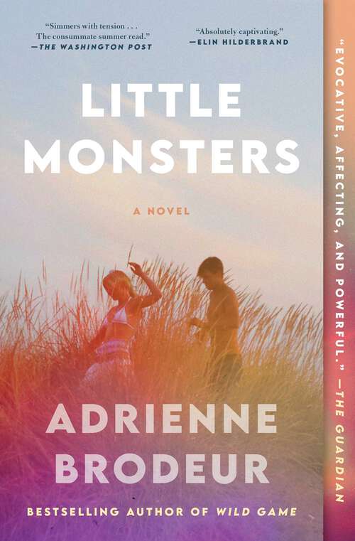 Book cover of Little Monsters